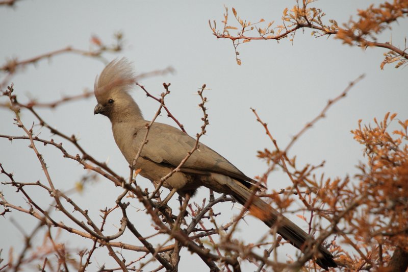 c_2015_08_26 14_57_59_395